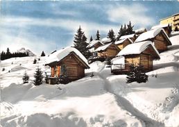 74-CHATEL- LES PETITS CHALETS DE MORCLAN - Châtel