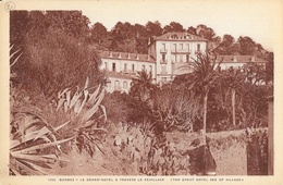 Bormes Les Mimosas (Var) - Le Grand Hôtel à Travers Le Feuillage - Carte Sépia Marius Bar, Non Circulée - Alberghi & Ristoranti