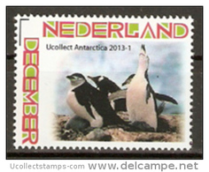 Nederland  2013-1  Ucollect Antarctica  Pinguin  Postfris/mnh/neuf - Nuevos