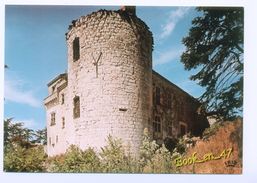 {78504} 47 Lot Et Garonne Aux Environs De Bon Encontre , Le Château De Castelnoubel - Bon Encontre