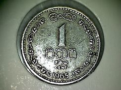 Sri Lanka 1 Cent 1965 - Sri Lanka
