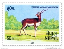 BLACKBUCK (ANTILOPE CERVICAPRA) 50 PAISA STAMP NEPAL 1984 MINT MNH - Selvaggina