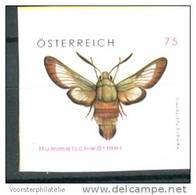 AUSTRIA ÖSTERREICH 2008 SCHMETTERLING BUTTERFLY SELBSTKLEBEND ADHESIVE - Ungebraucht