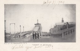 Coney Island New York, Dreamland 'Chutes', C1900s Vintage Postcard - Brooklyn