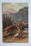 Mueller Style - Hunting - Chasse - Roe Deer  - Old Vintage Postcard - Mueller, August - Munich