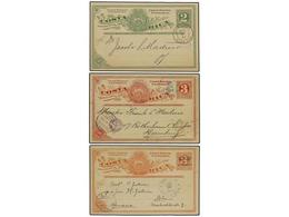 COSTA RICA. 1892-1906. Tres Enteros Postales De 2 Cts. Verde, 3 Cts. Rojo Y Habilitado Para El Exterior 4 Cts. S. 3 Cts. - Other & Unclassified
