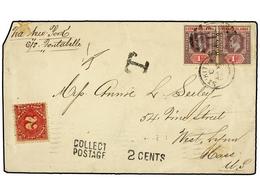 LEEWARD. 1903. ST. KITT´S To U.S.A. 1 D. Lilac And Red (2), Taxed On Arrival With U.S.A. 2 Cents Red Stamp. - Other & Unclassified