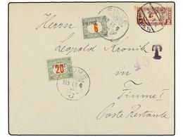 ITALIA: FIUME. 1919. VIENA A FIUME. 2 Ch. Violeta, Tasada A La Llegada Con Sellos De 6 Fi. Y 20 Fi. - Other & Unclassified