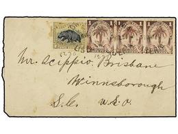 LIBERIA. 1897. Palm Tree 1c. Lilac Rose Strip Of Three, Used With 2c. Bistre & Black Tied By MONROVIA Datestamps In Blac - Autres & Non Classés