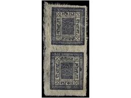 (*) NEPAL. Mi.17AK. 1899-1907. 2 Annas Grey Violet, Pin Perf. Vertical, Tete-beche Pair. FINE. - Autres & Non Classés