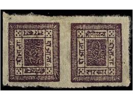 (*) NEPAL. Mi.18Ak. 1899-1907. 2 Annas Deep Lilac, Pin Perf. Tete-beche Pair. FINE. - Altri & Non Classificati