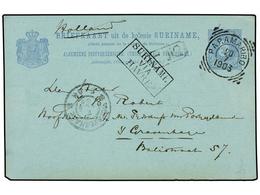 SURINAM. 1903. PARAMARIBO A HOLANDA. Entero Postal De 5 Cts. Azul, Marca SURINAME/VIA/HAVRE, Tipo II. - Otros & Sin Clasificación