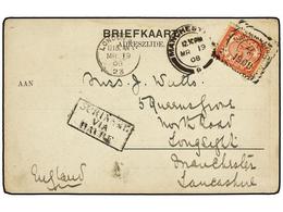SURINAM. 1908 (27 Febrero). PARAMARIBO A MANCHESTER (GB). Tarjeta Postal Con Franqueo De 5 Cts. Rojo Y Marco SURINAME/VI - Otros & Sin Clasificación