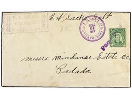 FILIPINAS. 1929. DAVAO To PADADA. 2 Ctvos. Green With PAQUEBOTE Blue Lineal Mark. - Altri & Non Classificati