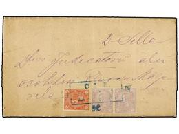 RUMANIA. Mi.84 (2), 86. 1891. LITA To TURNU MAGURELE. 3 Bani Lilac (one Defect) And 10 Bani Red Tied With RAILWAY Box Ca - Autres & Non Classés