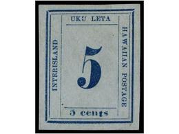 * HAWAI. Sc.22. 1864-65. 5 Cents. Blue On Blue. Plate XIX Position 15. Large Margins With Original Gum. - Autres & Non Classés
