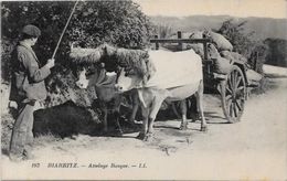 CPA  Attelage Campagne Travaux Des Champs Métier Non Ciculé Pyrénées Biarritz - Spannen