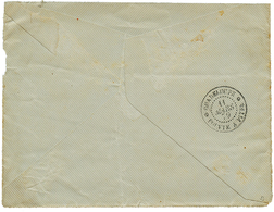 1879 GUADELOUPE MOULE + Taxe 30 Locale D.T Sur Enveloppe Pour POINTE-A-PITRE. TB. - Altri - America