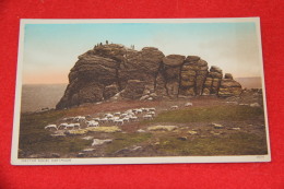 Devon Dartmoor Haytor Rocks NV - Dartmoor