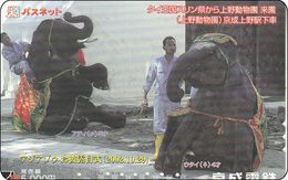 Japan Phonecard Elephant Elefant Temple Royal Character Mint - Jungle