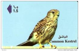 TARJETA DE OMAN DE UN CERNICALO  (EAGLE-KESTREL) - Aigles & Rapaces Diurnes