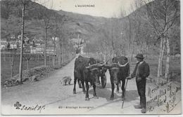 CPA  Attelage Campagne Travaux Des Champs Métier Ciculé Auvergne - Wagengespanne