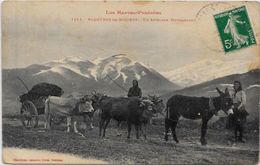 CPA  Attelage Campagne Travaux Des Champs Métier Ciculé Bagnères De Bogorre Ane Labouche - Equipaggiamenti