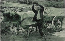 CPSM  Attelage Campagne Travaux Des Champs Métier écrite Pays Basque - Attelages