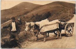 CPSM  Attelage Campagne Travaux Des Champs Métier écrite Pays Basque - Wagengespanne