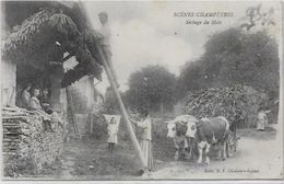 CPSM  Attelage Campagne Travaux Des Champs Métier écrite Maïs - Spannen