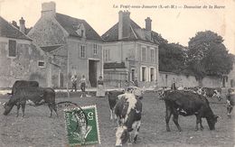 77-LA FERTE-SOUS-JOUARRE- DOMAINE DE LA BARRE - La Ferte Sous Jouarre