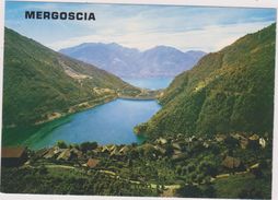 SUISSE,SCHWEIZ,SVIZZERA,SWITZERLAND,HELVETIA,SWISS ,TESSIN,LOCARNO,MERGOSCIA,CARTE PHOTO COULEUR GARBANI - Locarno