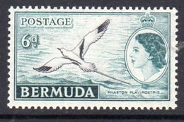 Bermuda QEII 1953-62 6d Tropic Bird Definitive, MNH, SG 143 - Bermuda