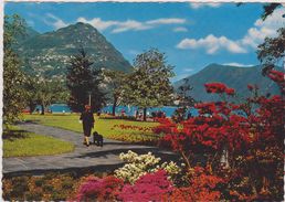 Suisse,switzerland,swiss, Helvetia,schweiz,svizzera,TESSIN,TICINO,LUGANO,PARC - Lugano