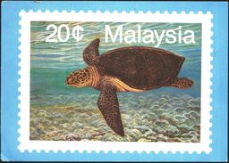 Mailed Postcard Stamp Turtle With Stamps Aviation Airplane 1989 From Malaysia - Turtles