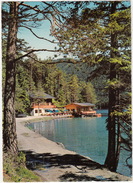 Weissensee, 1000 M Seehöhe - Jausenstation Ronacherfels - OPEL REKORD P2 - (Kärnten, Austria/Österreich) - Weissensee