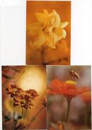 3 Cartes Postales "GERBERA - LYS - CHRISANTHEMES" - Neuves - Blumen