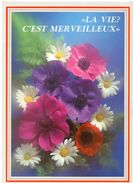 Carte Postale "Anemones Et Paquerettes - LA VIE ? C'EST MERVEILLEUX - Neuve - Blumen