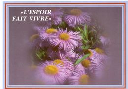 Carte Postale "Asters" - L'ESPOIR FAIT VIVRE - Neuve - Fleurs