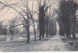 Cp , 28 , MAINTENON , Parc Du Château , Une Allée - Maintenon