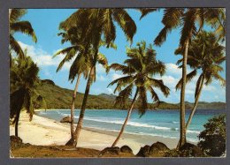 SEYCHELLES Grand Anse Mahe  FG V SEE 2 SCANS Stamp Doll - Seychellen