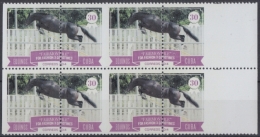 2014.396 CUBA 2014 MNH PERFOTATE ERROR. 30c EQUINOS CABALLOS HORSE. - Nuevos