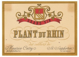 Rare // Plant Du Rhin, Maurice Cossy Vigneron à St.Saphorin  Vaud // Suisse - Barche A Vela & Velieri