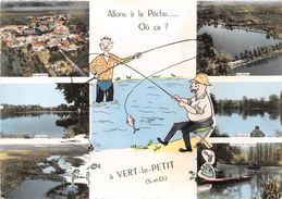 91-VERT-LE-PETIT- MULTIVUES - Vert-le-Petit