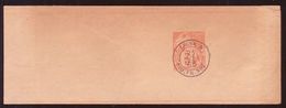 FRANCE/CHINA/VIETNAM/SHIPPING WRAPPER 1895 3c - Zeitungsmarken (Streifbänder)