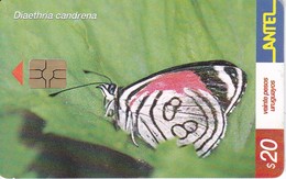 Nº 243 TARJETA DE URUGUAY DE UNA MARIPOSA (BUTTERFLY) - Uruguay