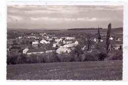 5521 MECKEL Bei Bitburg, Panorama, 50er Jahre - Bitburg