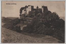 Schloss Lenzburg - Lenzburg