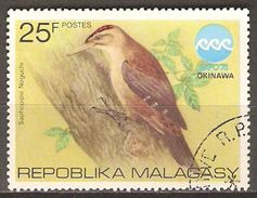 MADAGASCAR     -    OISEAU   /   Pic    -   Oblitéré - Spechten En Klimvogels