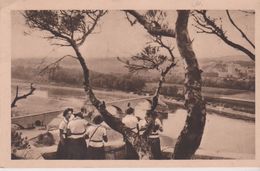 SCOUTISME Les Eclaireuses En Excursion : Le Pont D'Avignon (84) - Padvinderij